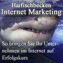 Haifischbecken Internetmarketing: So bringen Sie Ihr Unternehmen im Internet auf Erfolgskurs