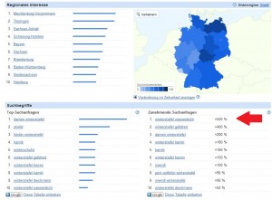 Trends erkennen mit Insight for Search (größer klicken!)