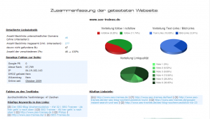 Screenshot der Zusammenfassung des Backlinktester-Tools