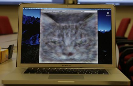 Katzenbild auf Laptop