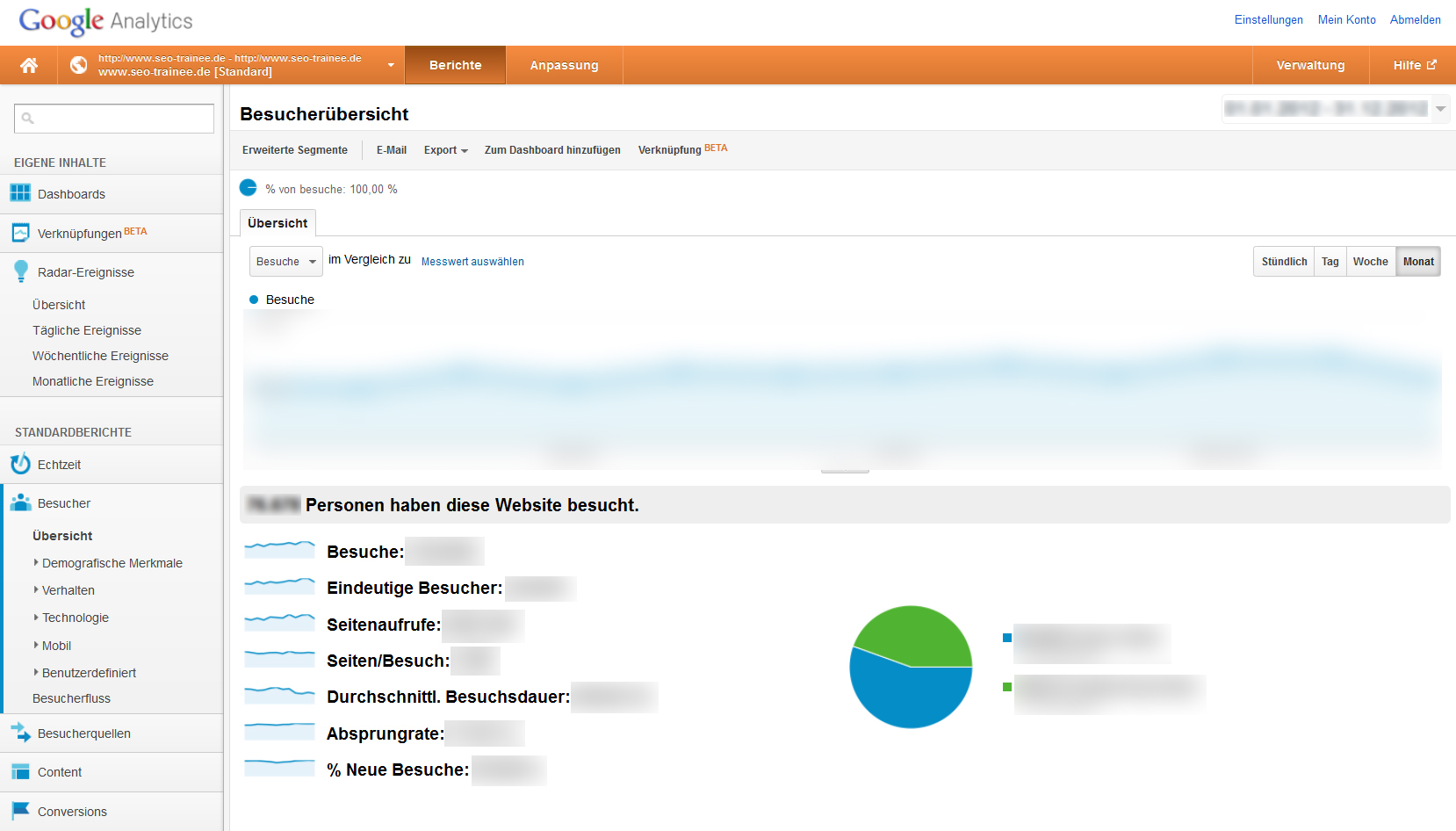 Screenshot des SEO-Trainee.de-Analytics Account zur Veranschaulichung der Layout-Veränderungen