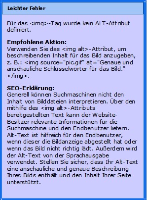 Ausfürhrliche Fehlersbeschreibung des SEO-Analysators