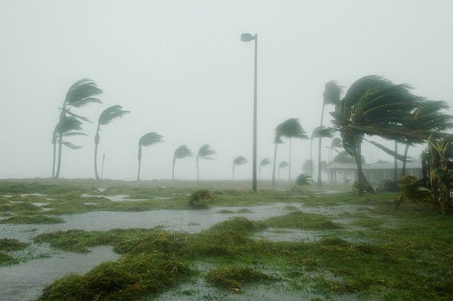 Das Florida Update wütet wie ein Hurricane