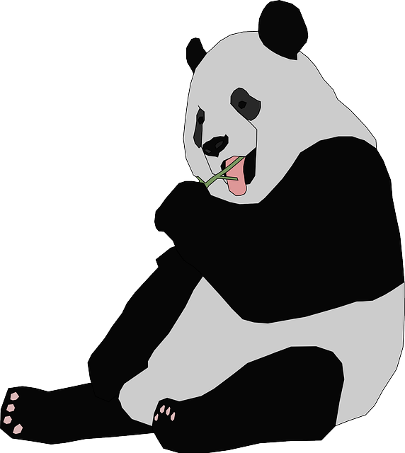 panda