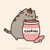 Pusheen Facebook