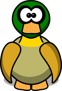 Duck