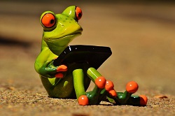 Frosch mit Laptop