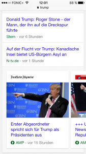 AMP in den Google SERPs