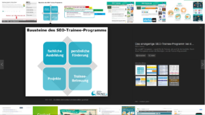 Ansicht einer Grafik mit Branding von seo-trainee.de in der Google-Bildersuche