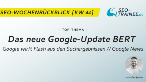 Top-Thema Google-Update BERT