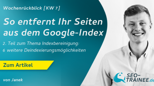 So entfern Ihr Seiten aus dem Google-Index (Teil 2)