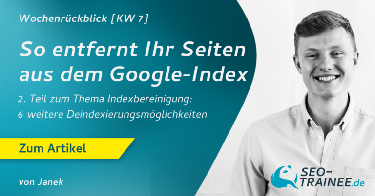 So entfern Ihr Seiten aus dem Google-Index (Teil 2)