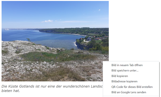 Monatsrückblick Dezember: Bild der Küste Gotlands. Mit diesem wir die Funtion von Google Lens demonstriert.