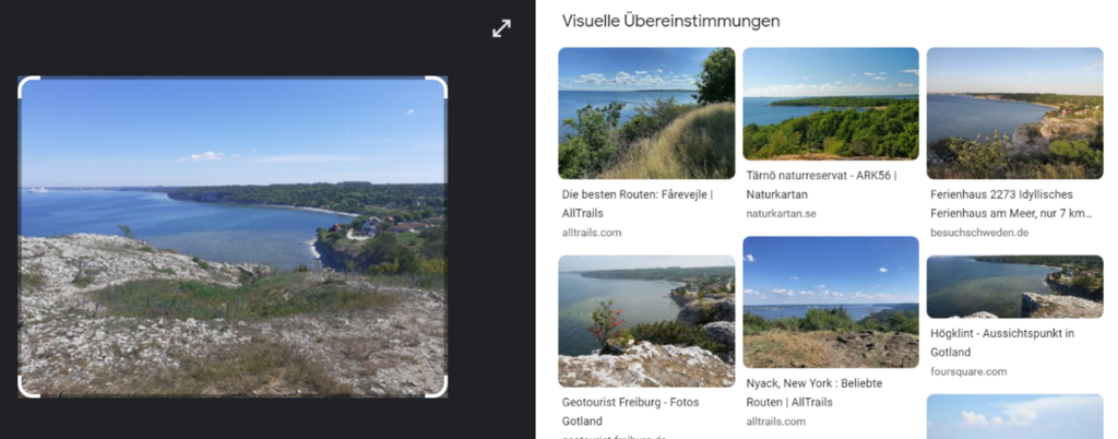 Monatsrückblick Dezember: Google Lens hat für das Bild der Küste Gotlands verschiedene Alternativen ausgewählt.