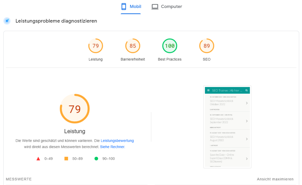 Die neuen Erweiterungen bei Pagespeed Insights.