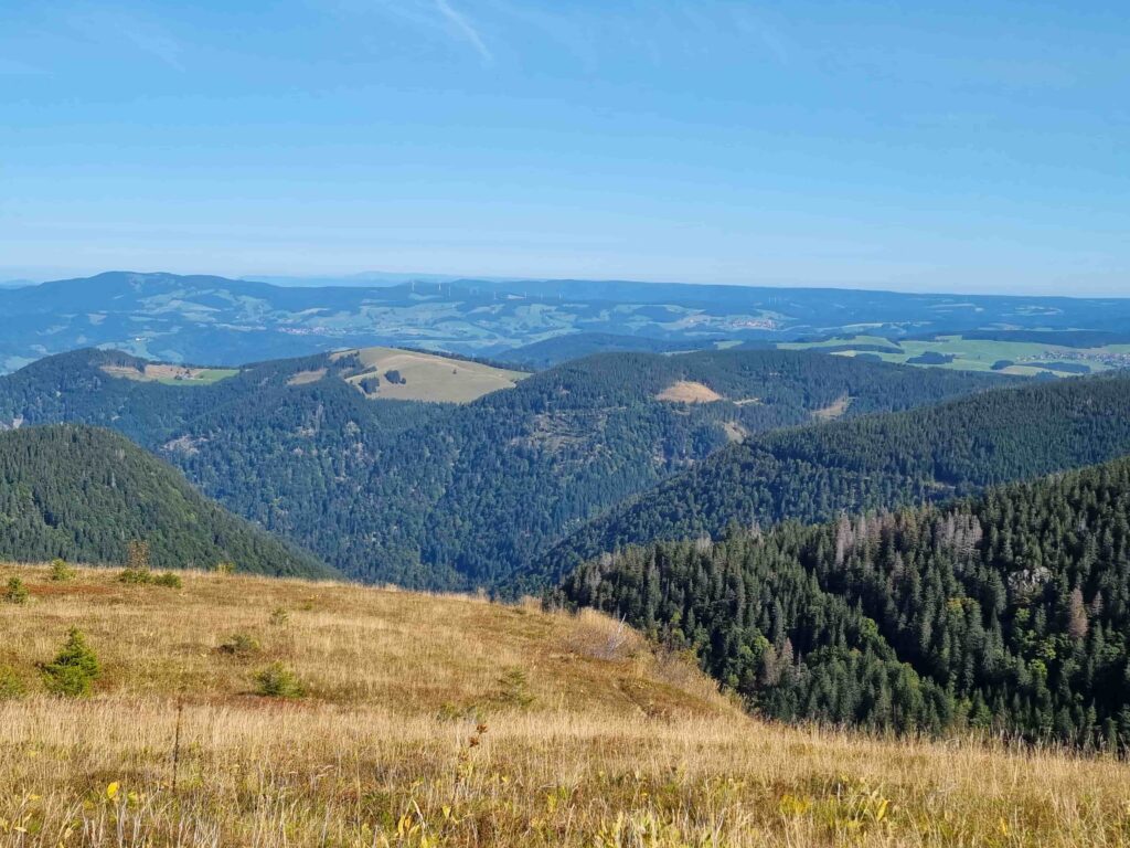 Berge des Schwarzwalds